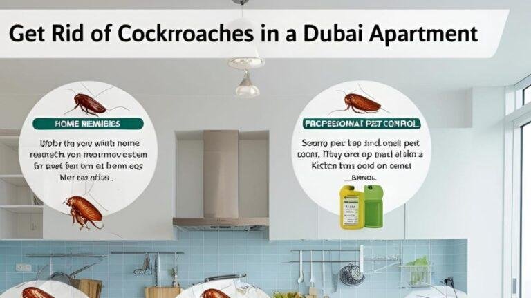 How to Get Rid of Cockroaches in Dubai Apartment