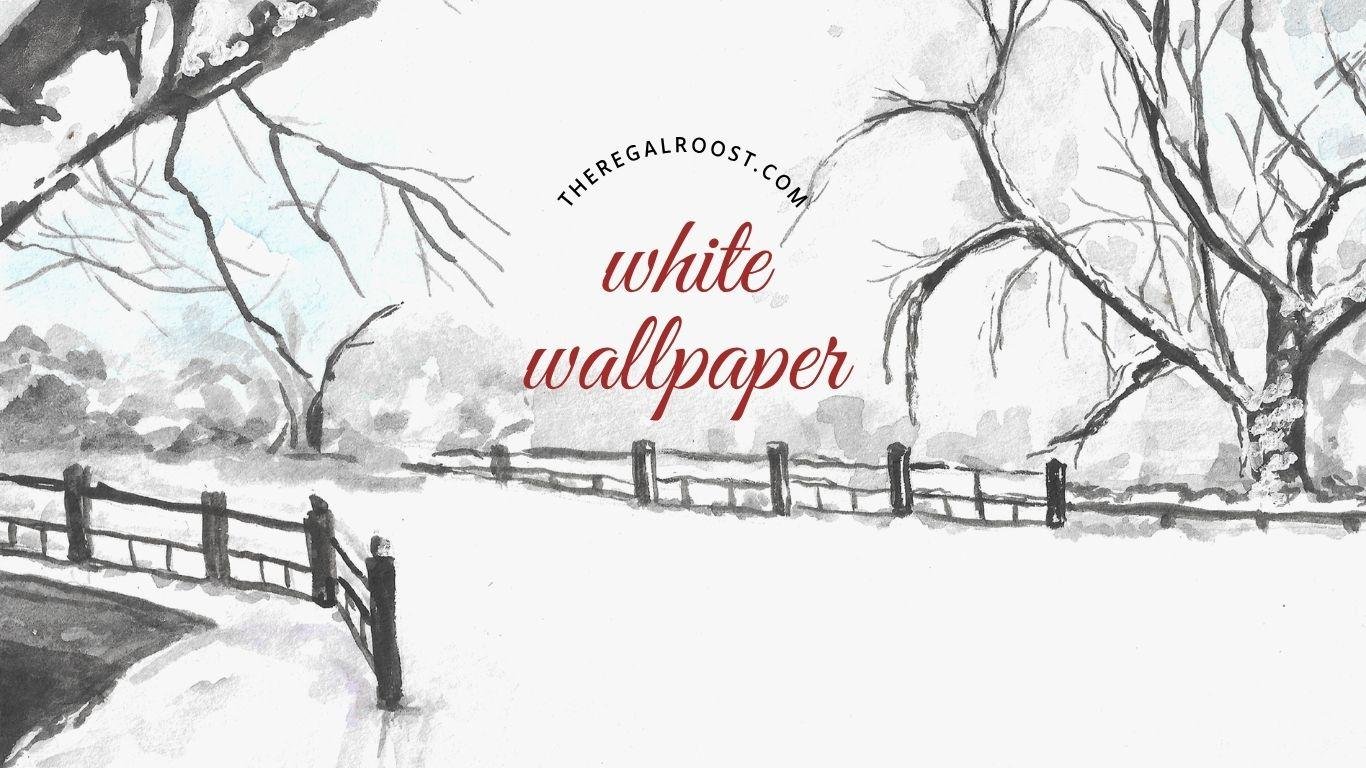 White Wallpaper written on an image